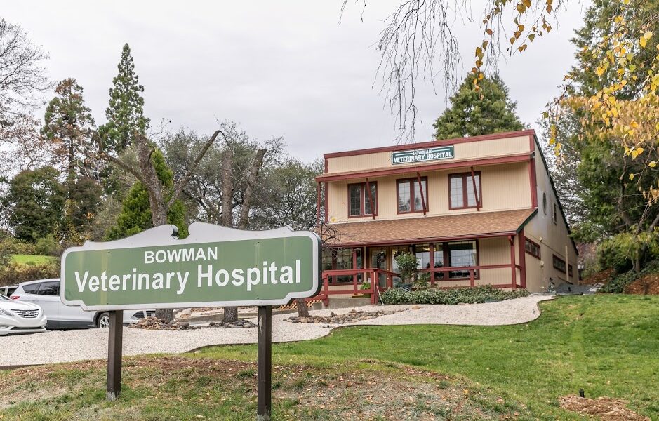 Bowman Veterinary Hospital