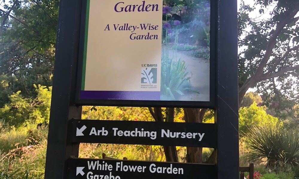 Vet Hospital Davis Ca