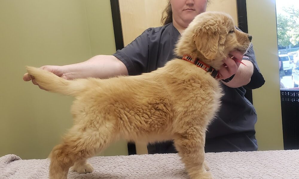 Willow Creek Veterinary Clinic